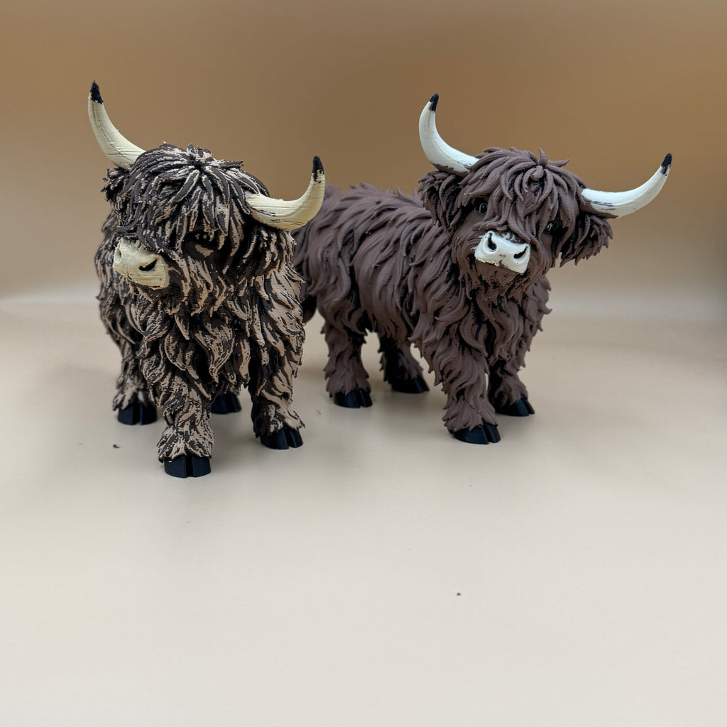 Highland Cow