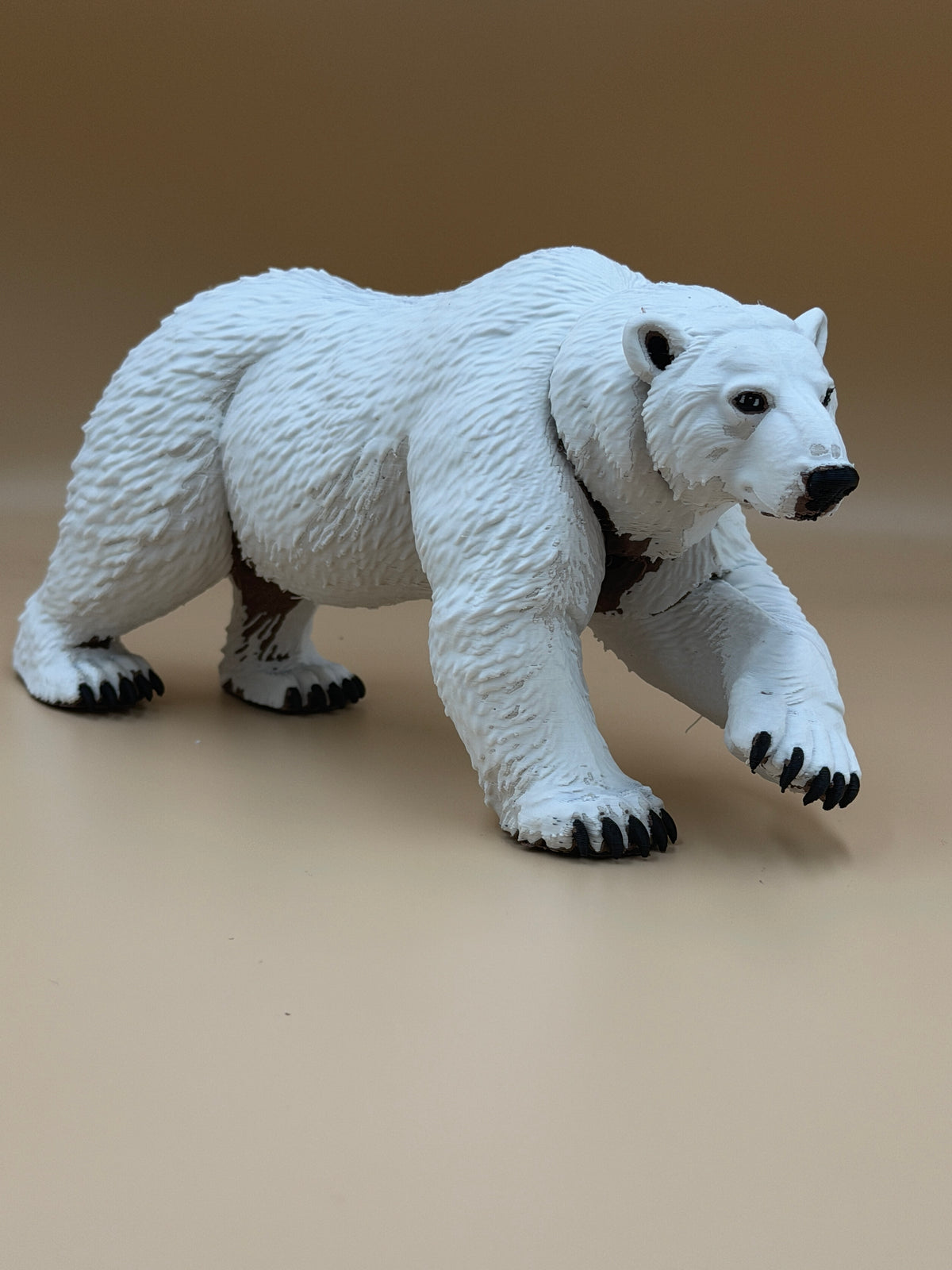 Polar Bear
