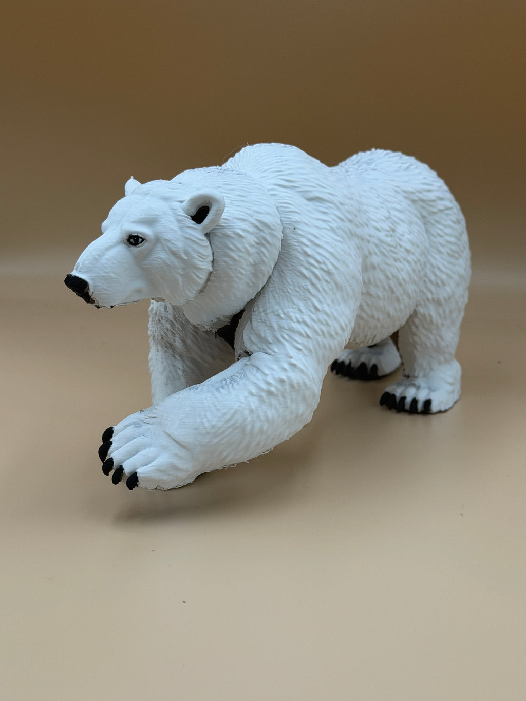 Polar Bear