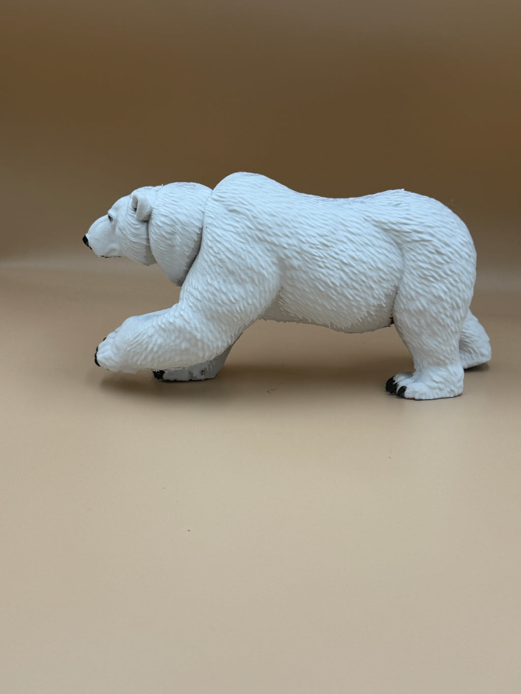 Polar Bear
