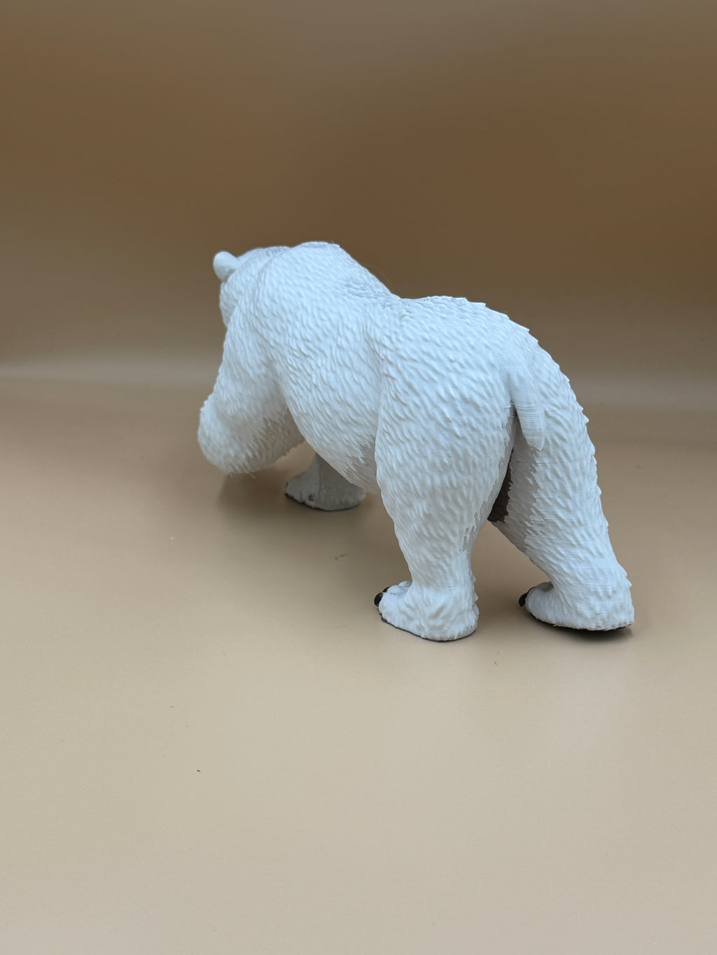 Polar Bear