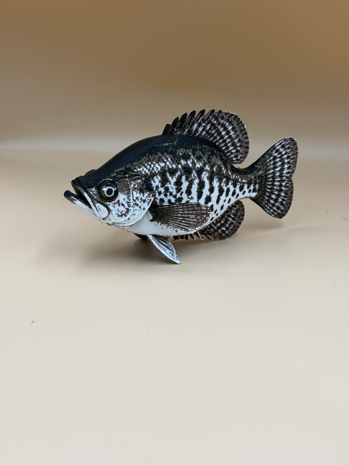 Black Crappie Fish