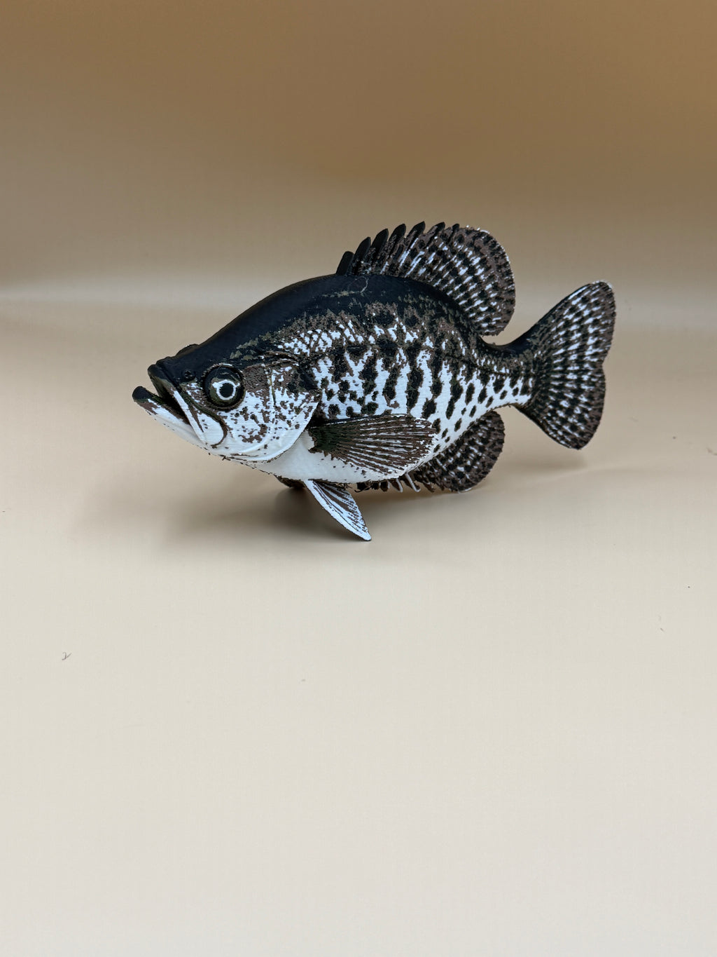 Black Crappie Fish
