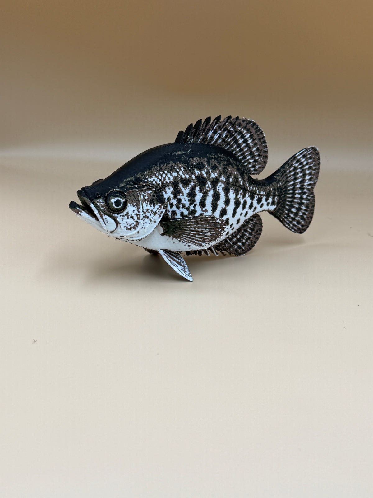 Black Crappie Fish