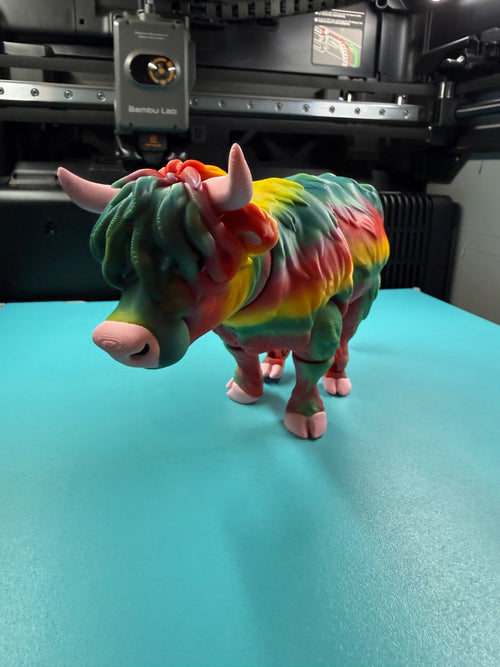 Cow - Highland Rainbow Edition