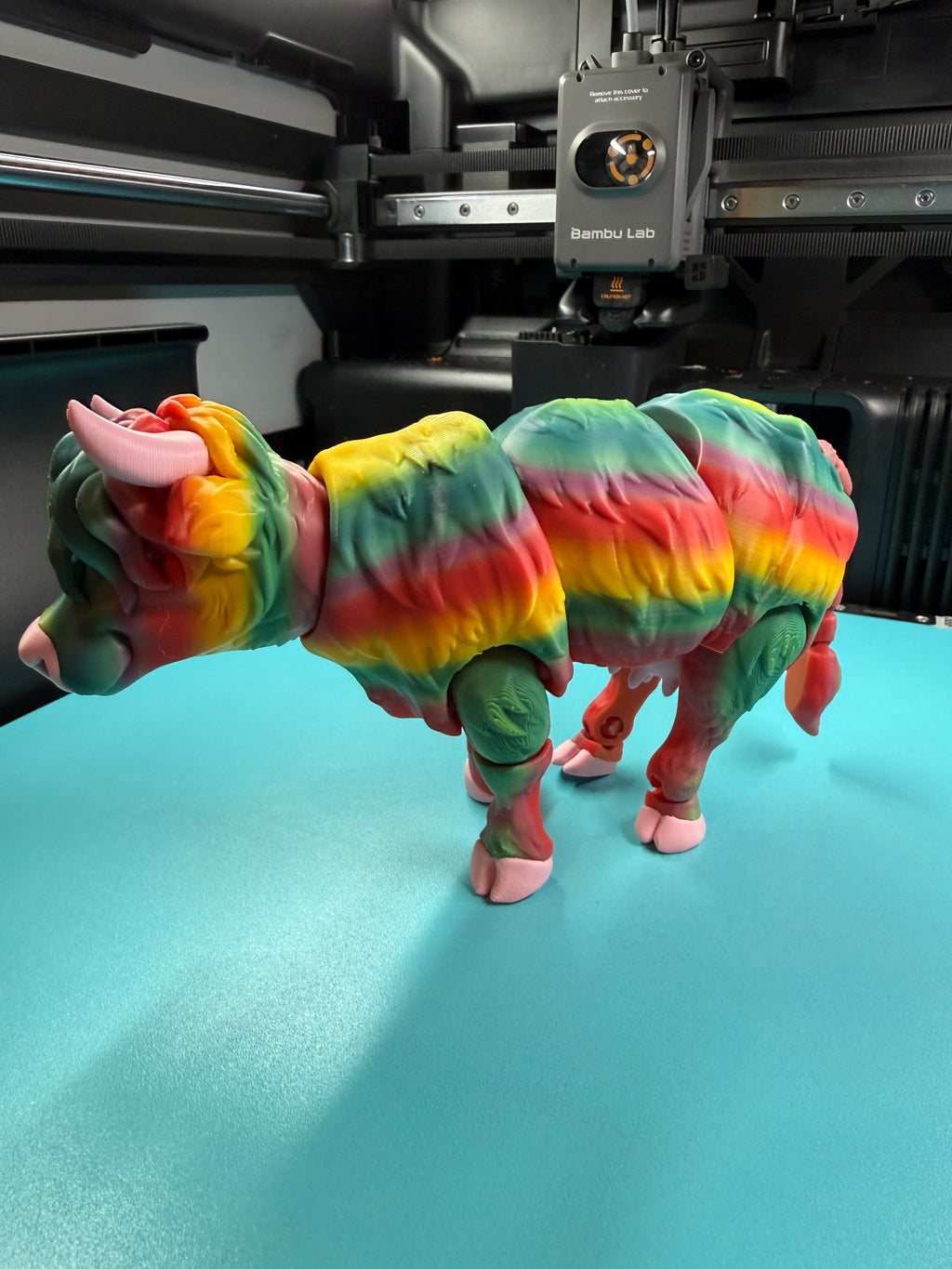 Cow - Highland Rainbow Edition