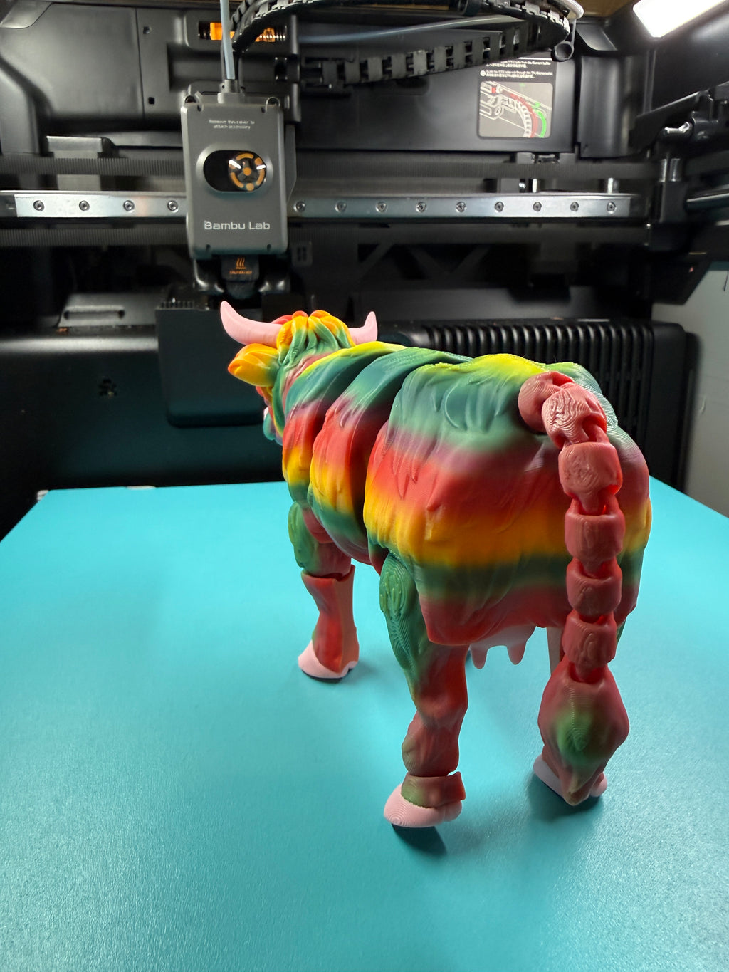 Cow - Highland Rainbow Edition