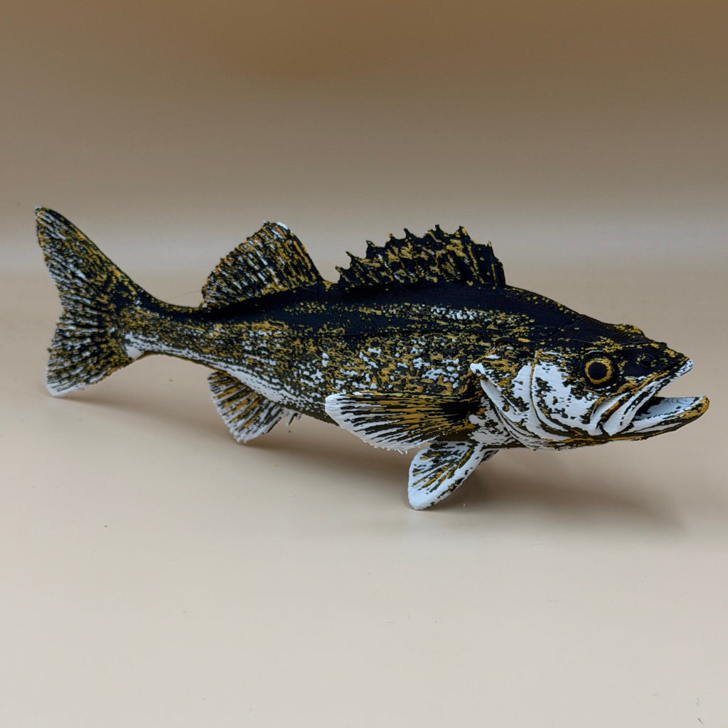 Walleye Fish