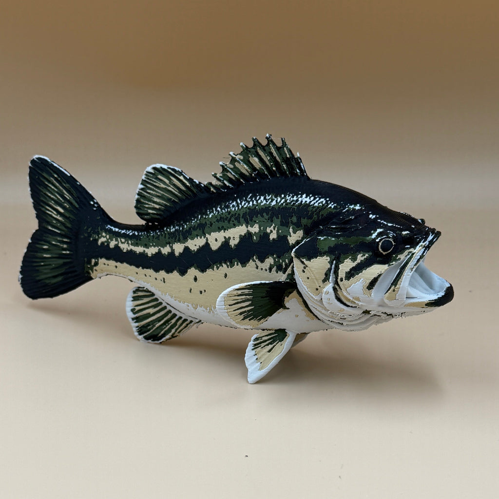 Large Mouth Bass Fish