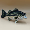 Large Mouth Bass Fish