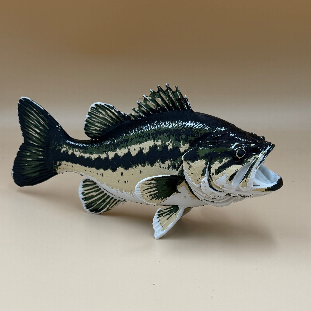 Large Mouth Bass Fish