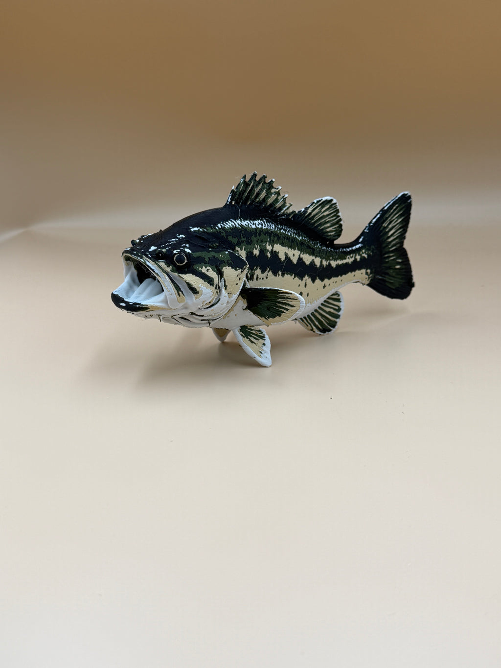 Large Mouth Bass Fish