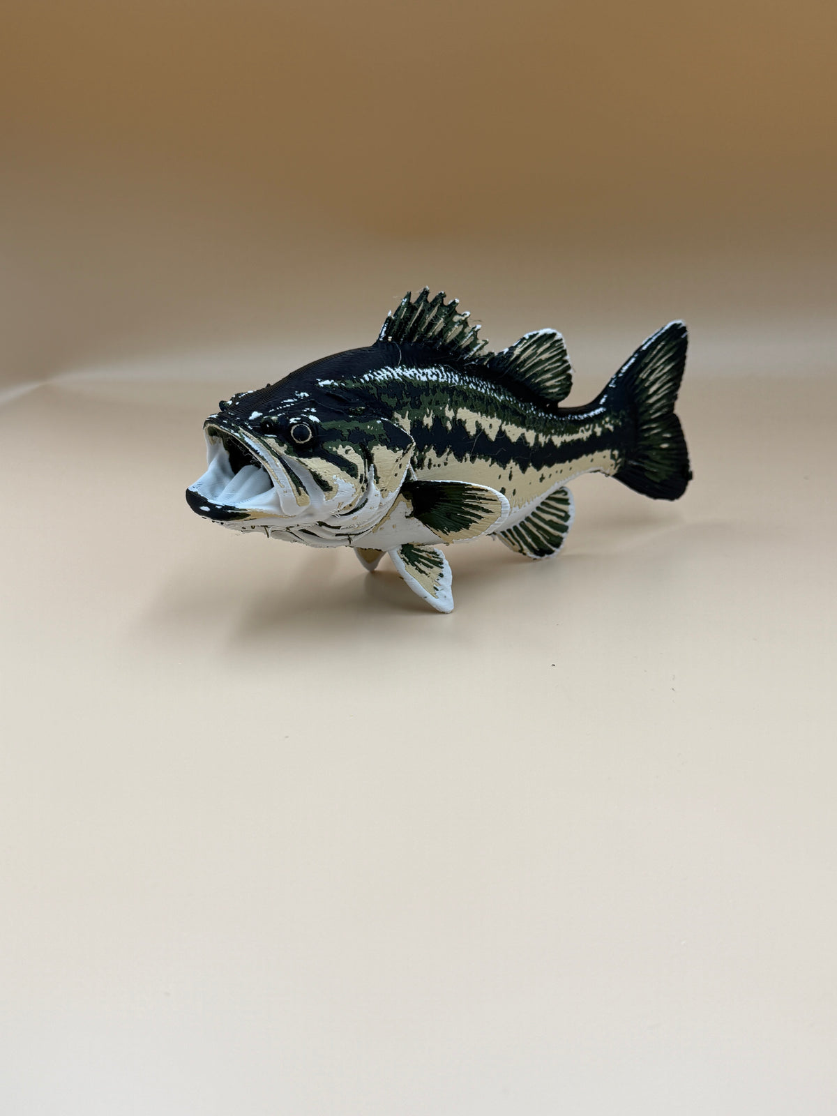 Large Mouth Bass Fish