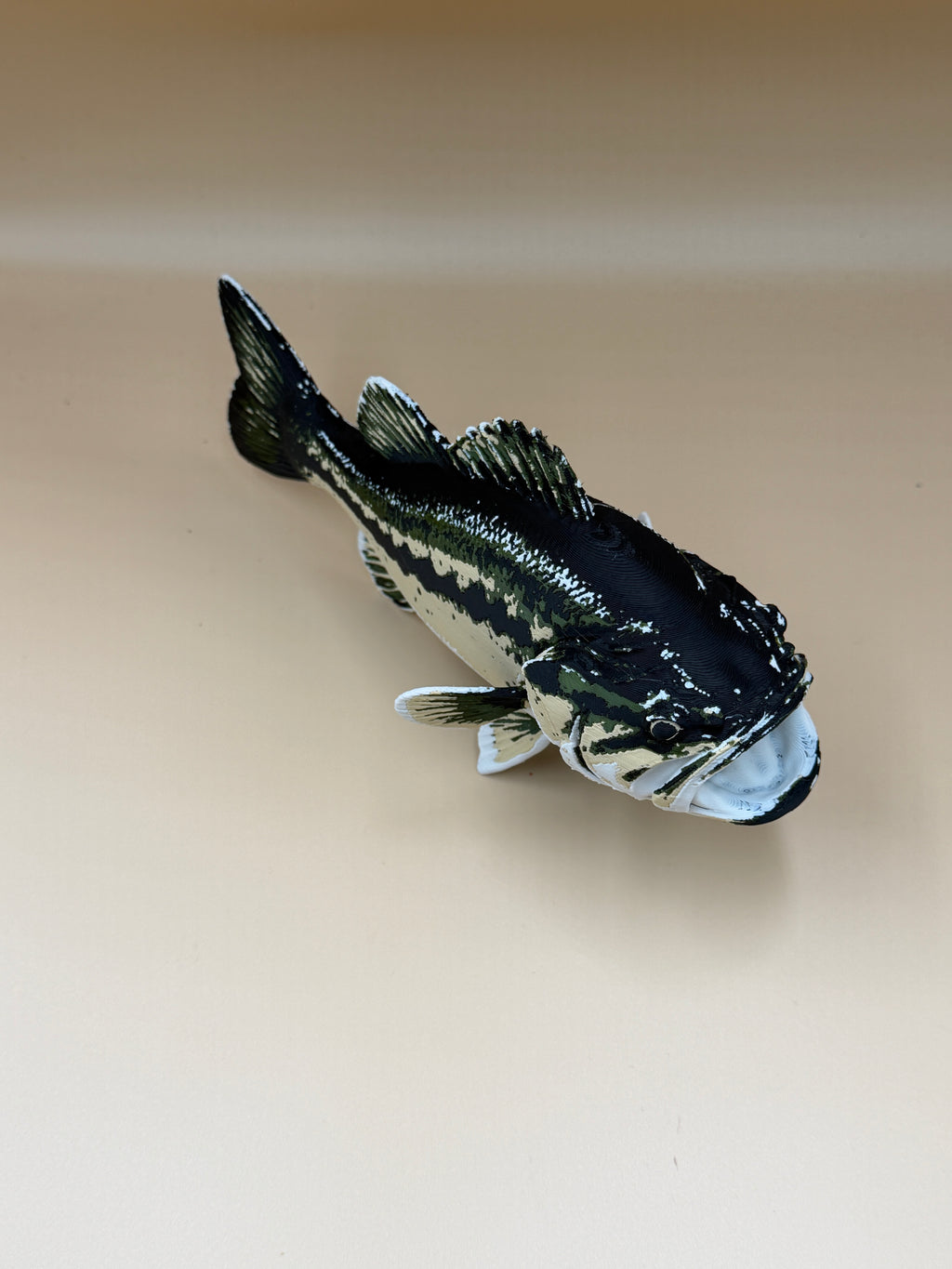 Large Mouth Bass Fish