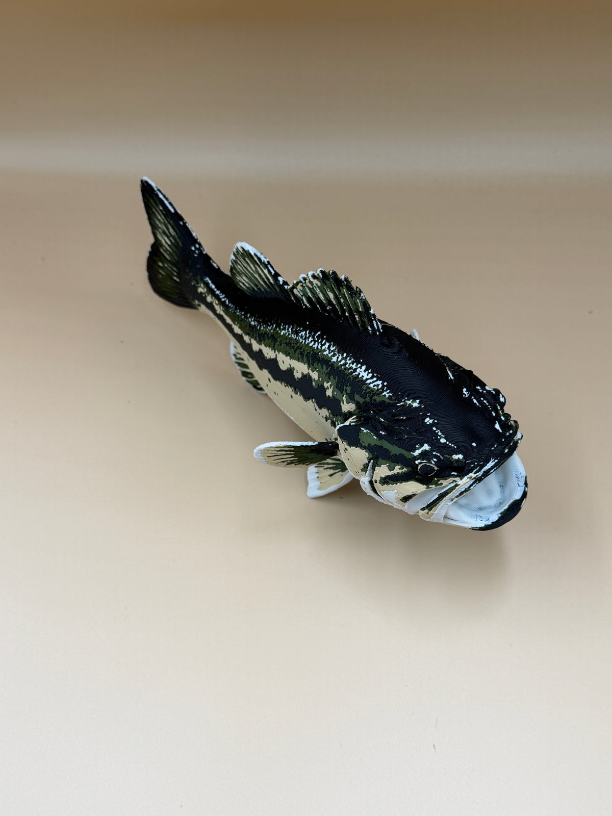 Large Mouth Bass Fish