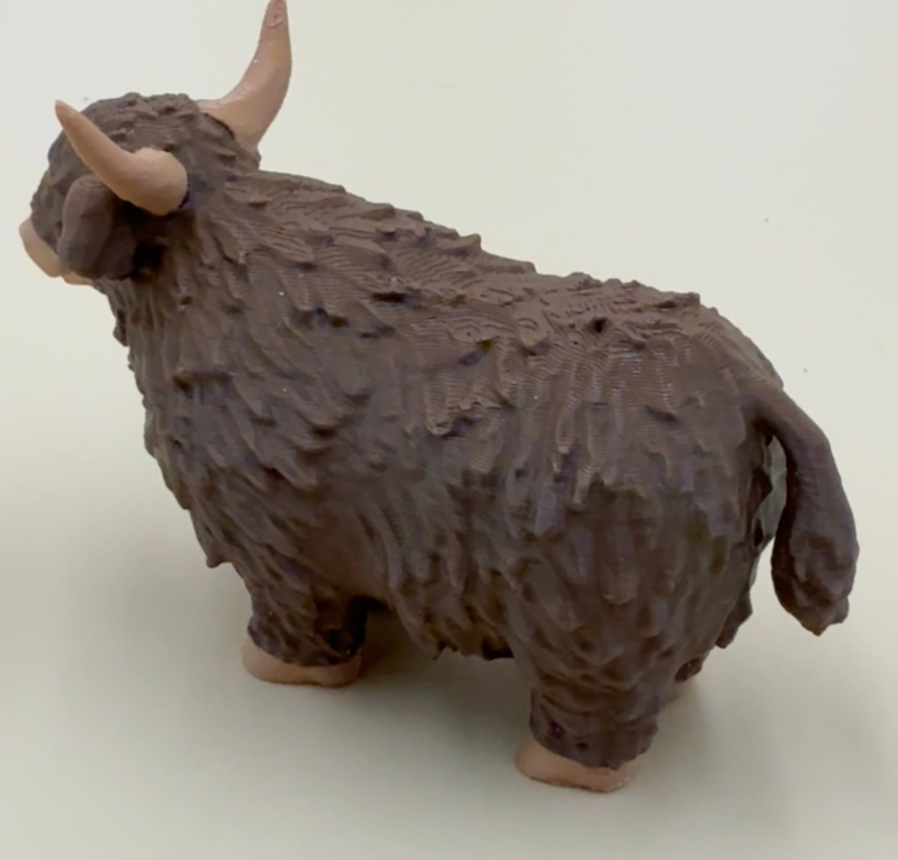 Cow - Miniature Highland