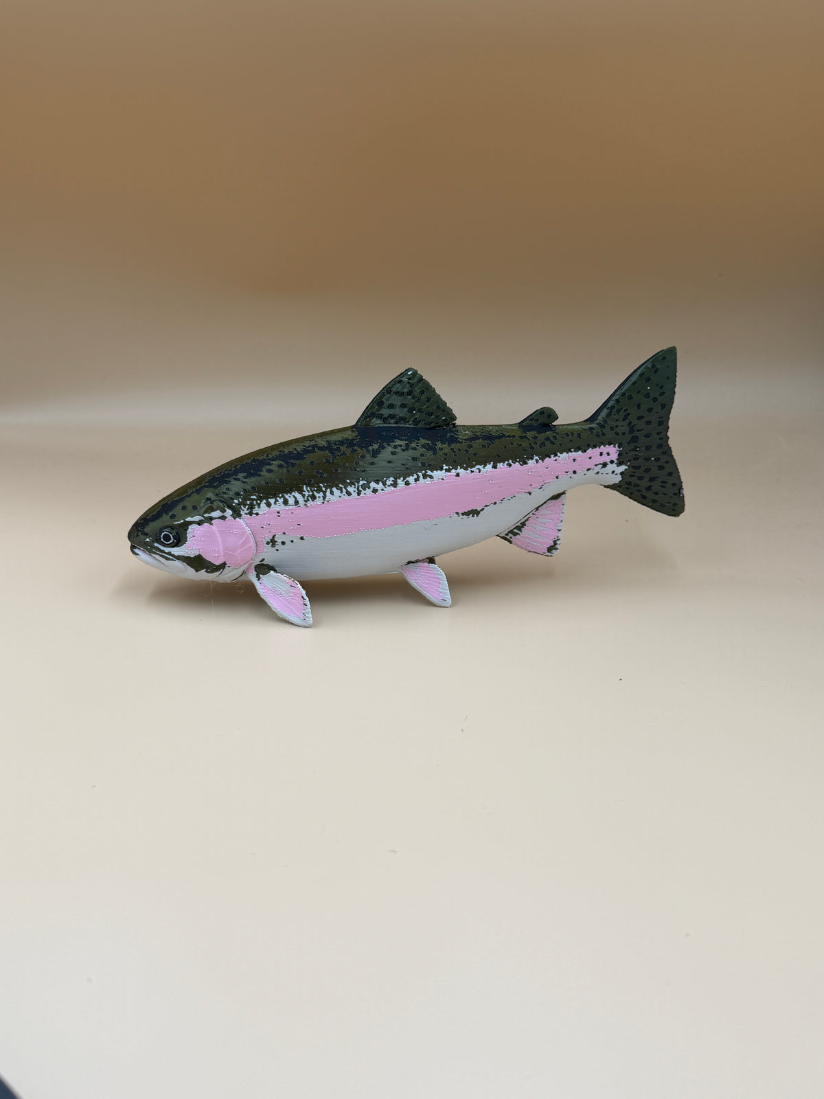 Rainbow Trout Fish