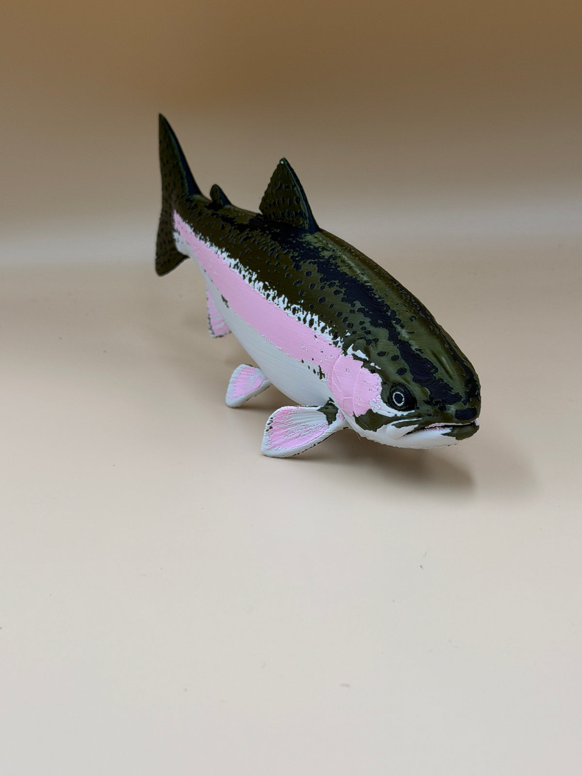 Rainbow Trout Fish