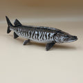 Tiger Muskie Fish
