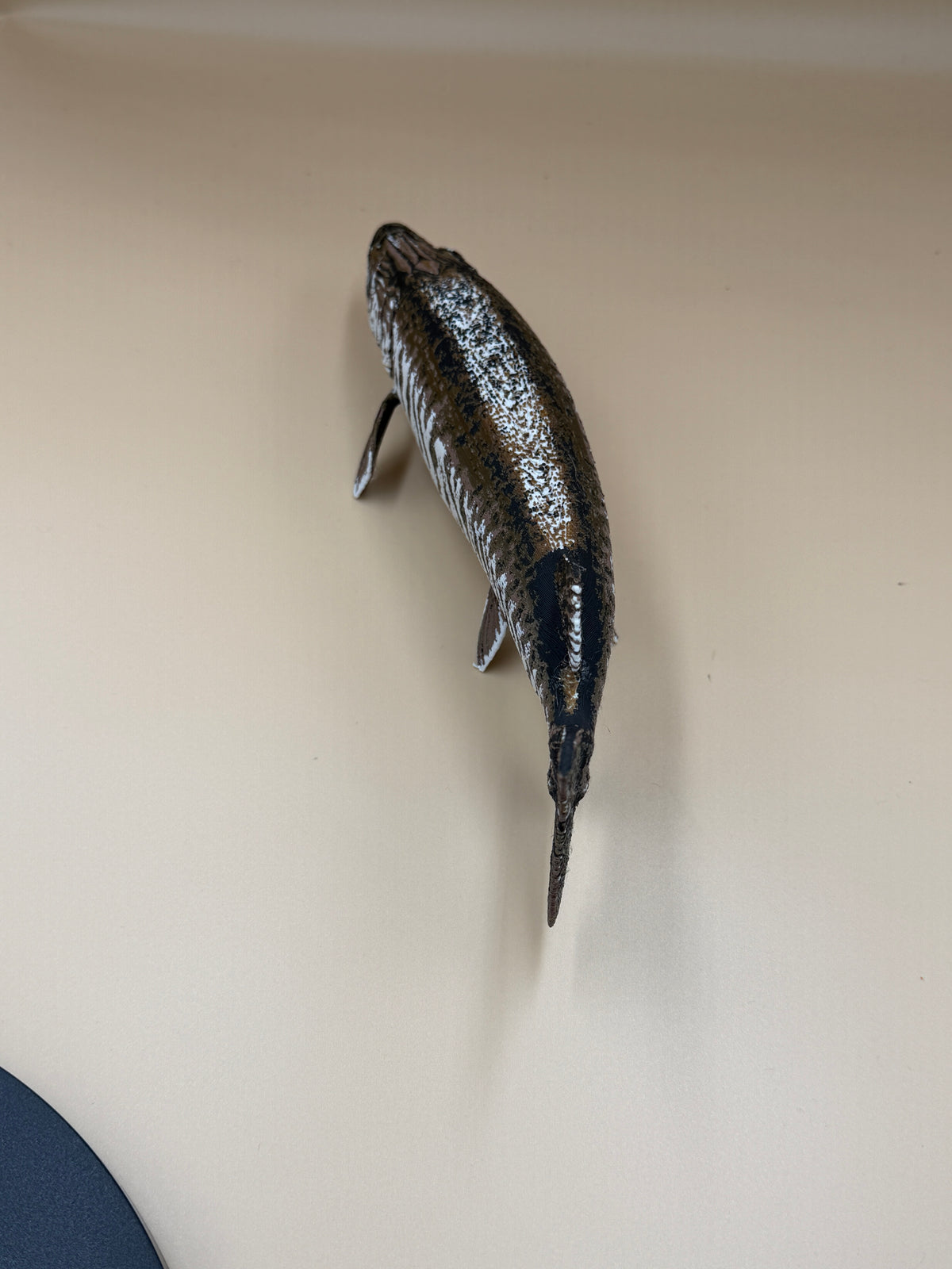 Tiger Muskie Fish