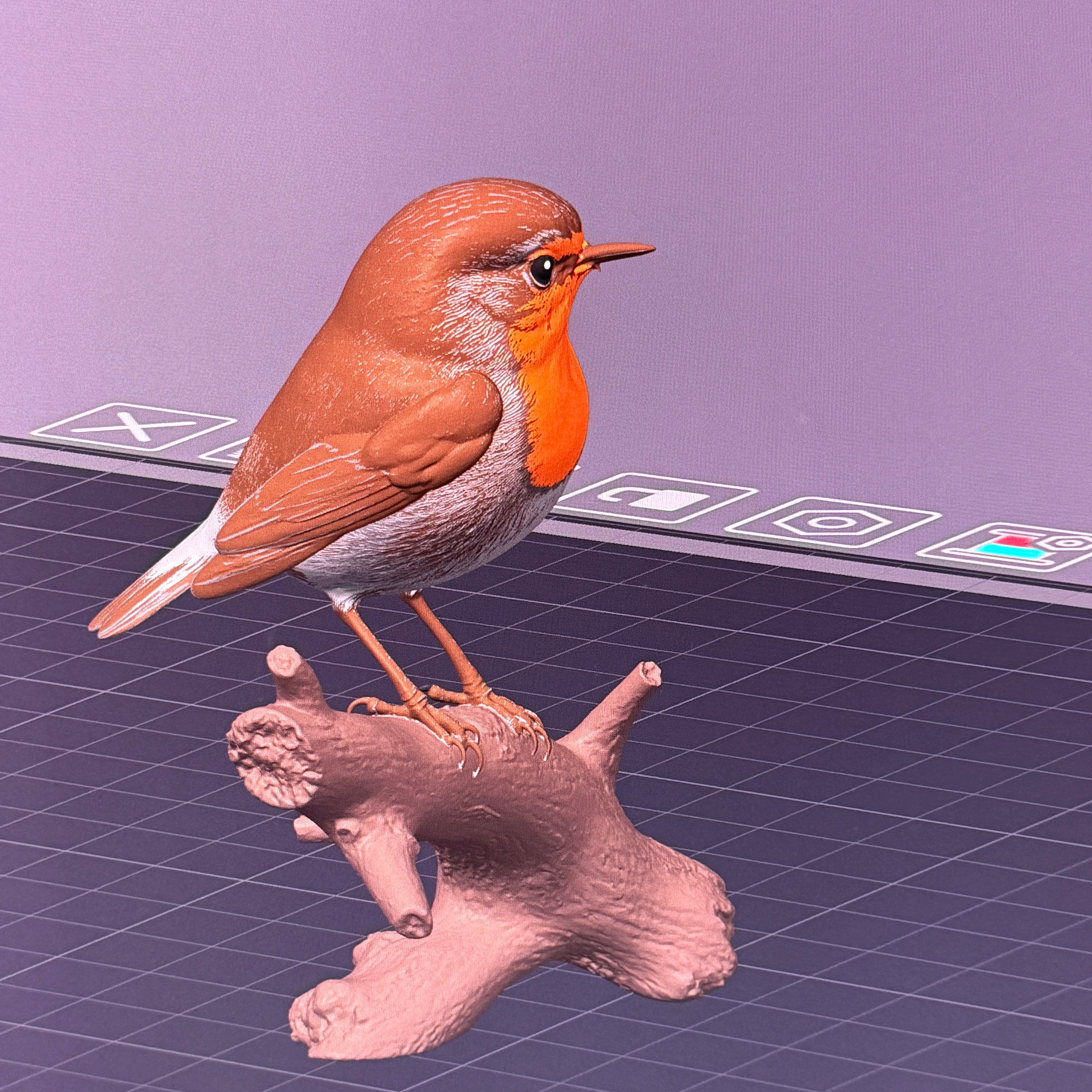 European Robin- Commercial License