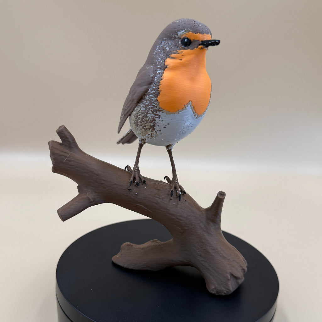 European Robin- Commercial License