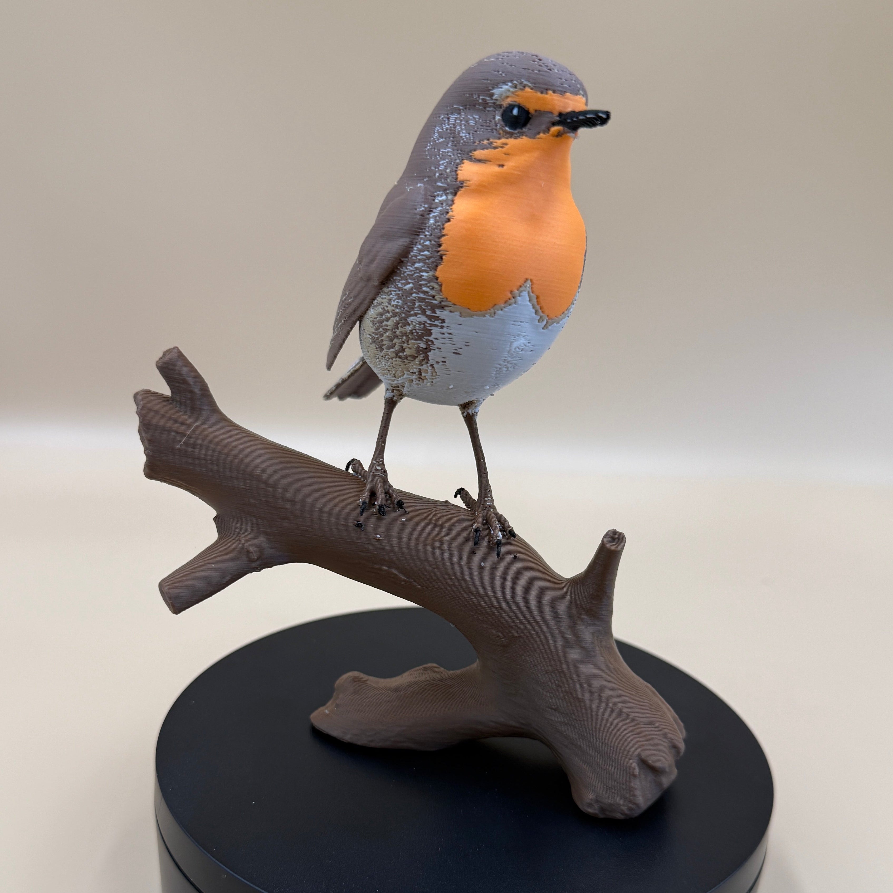 European Robin- Commercial License