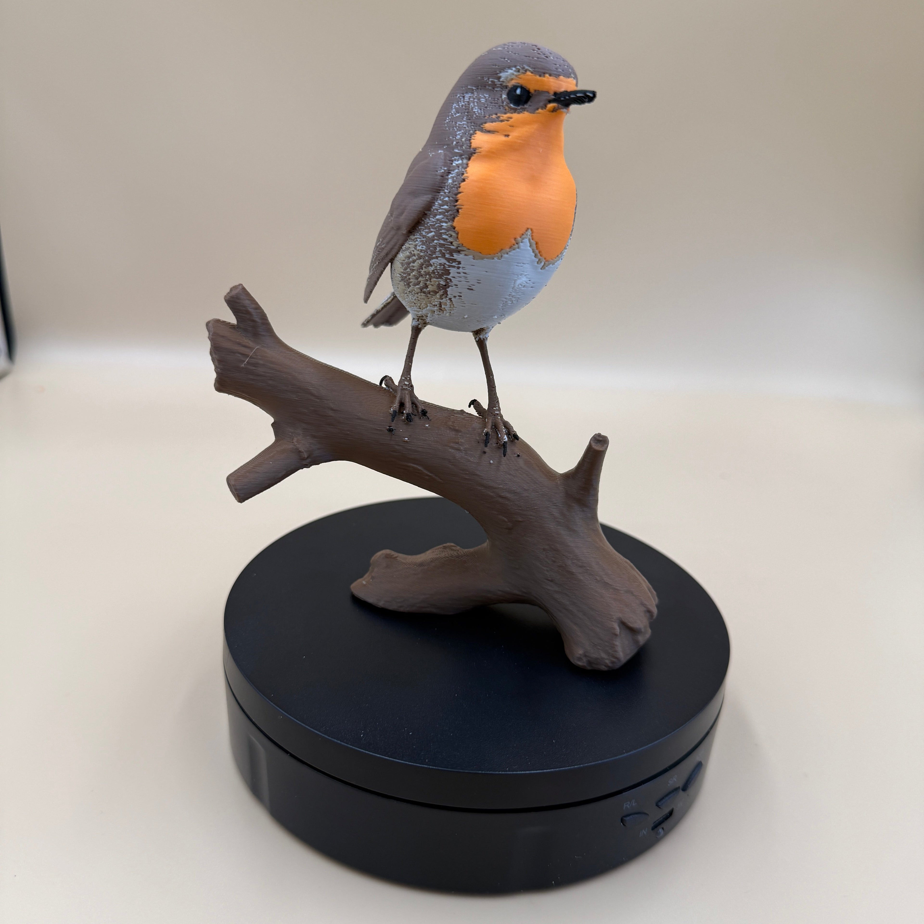 European Robin