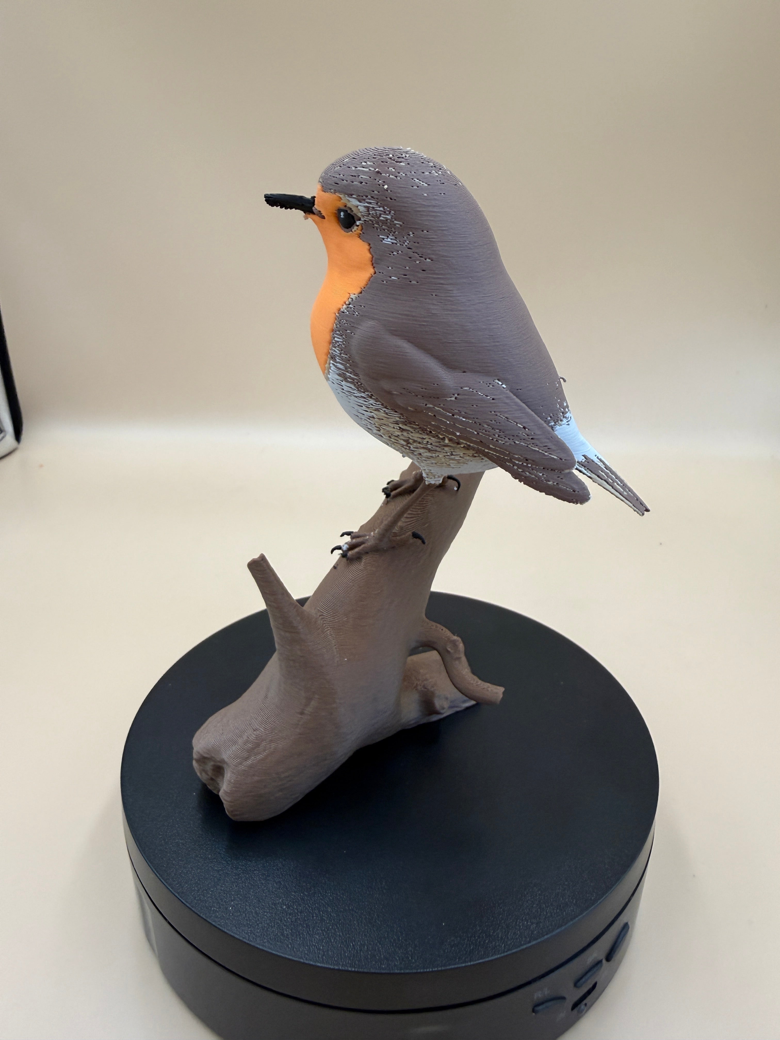 European Robin- Commercial License