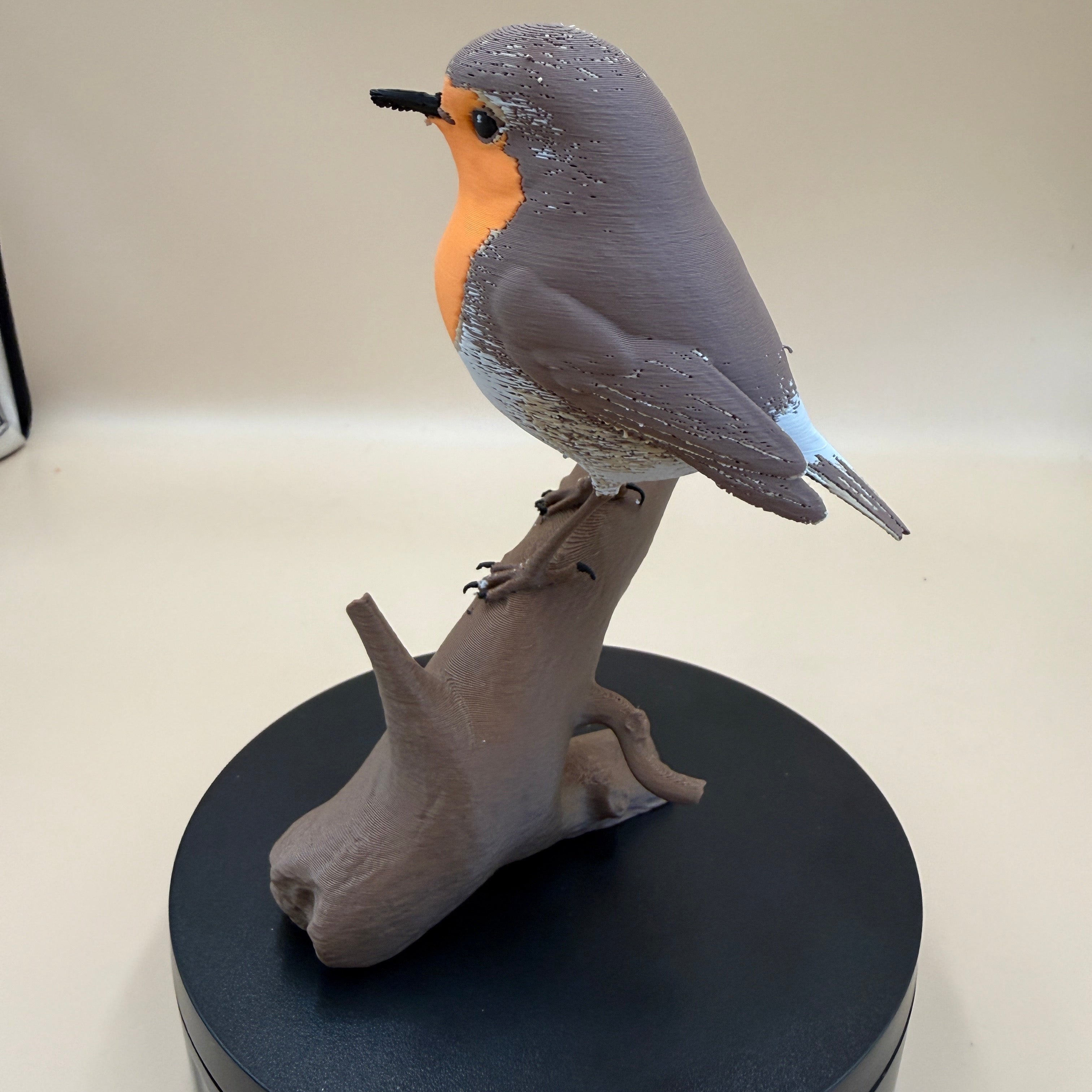 European Robin