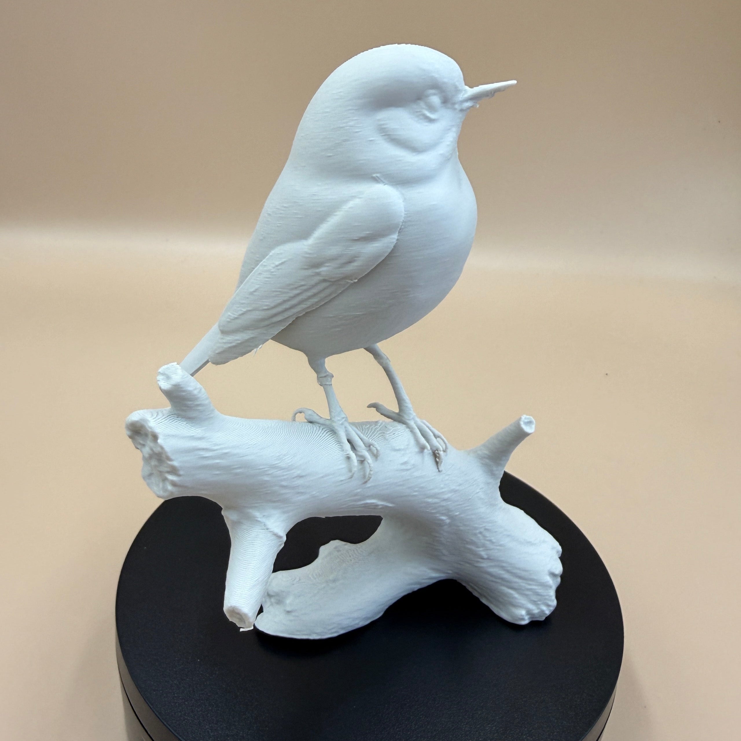 European Robin- Commercial License