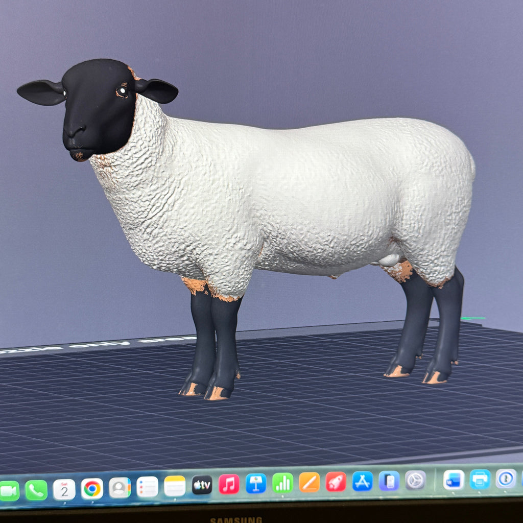 Suffolk Black Faced Sheep 3MF + Commercial License