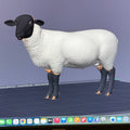 Suffolk Black Faced Sheep 3MF + Commercial License