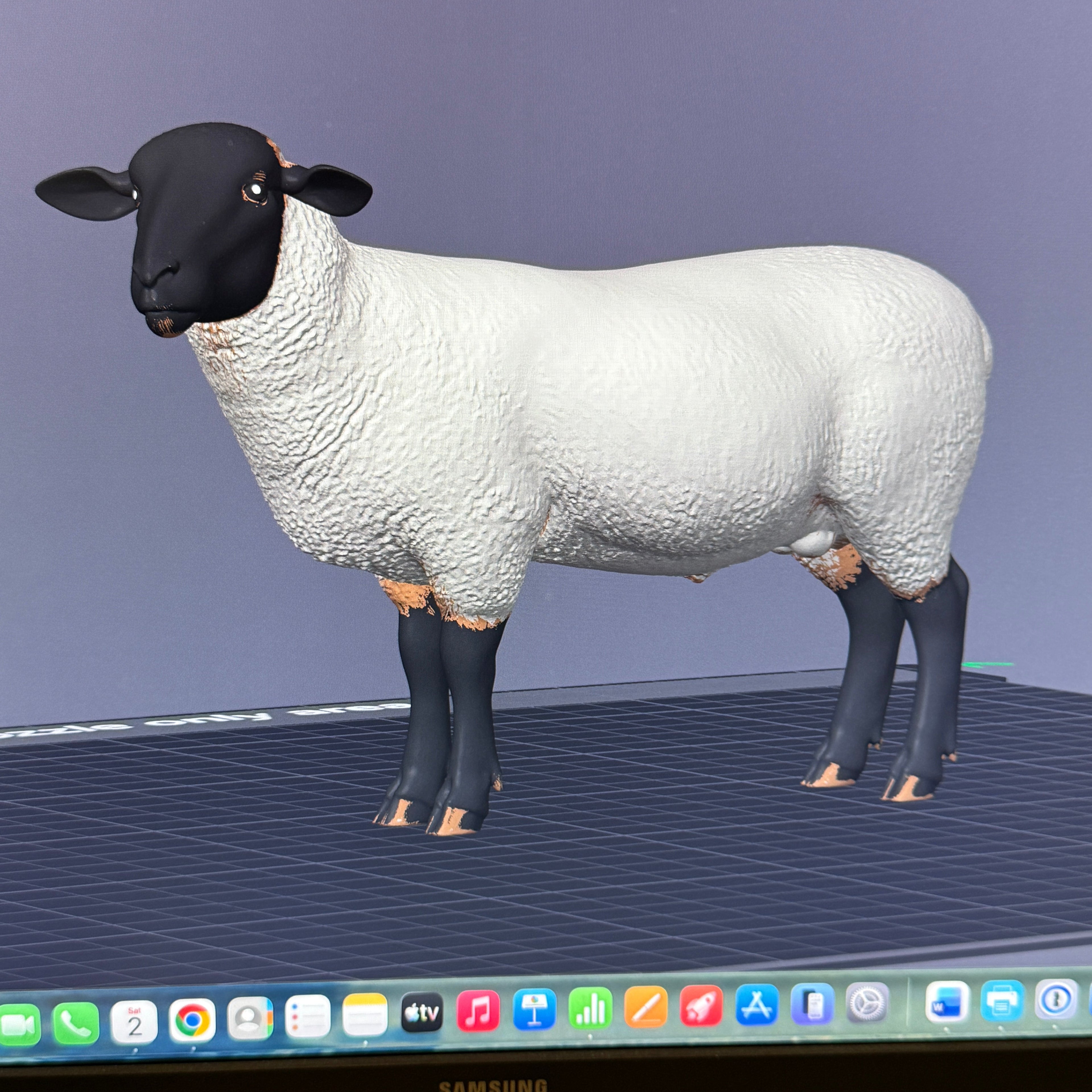 Suffolk Black Faced Sheep 3MF + Commercial License