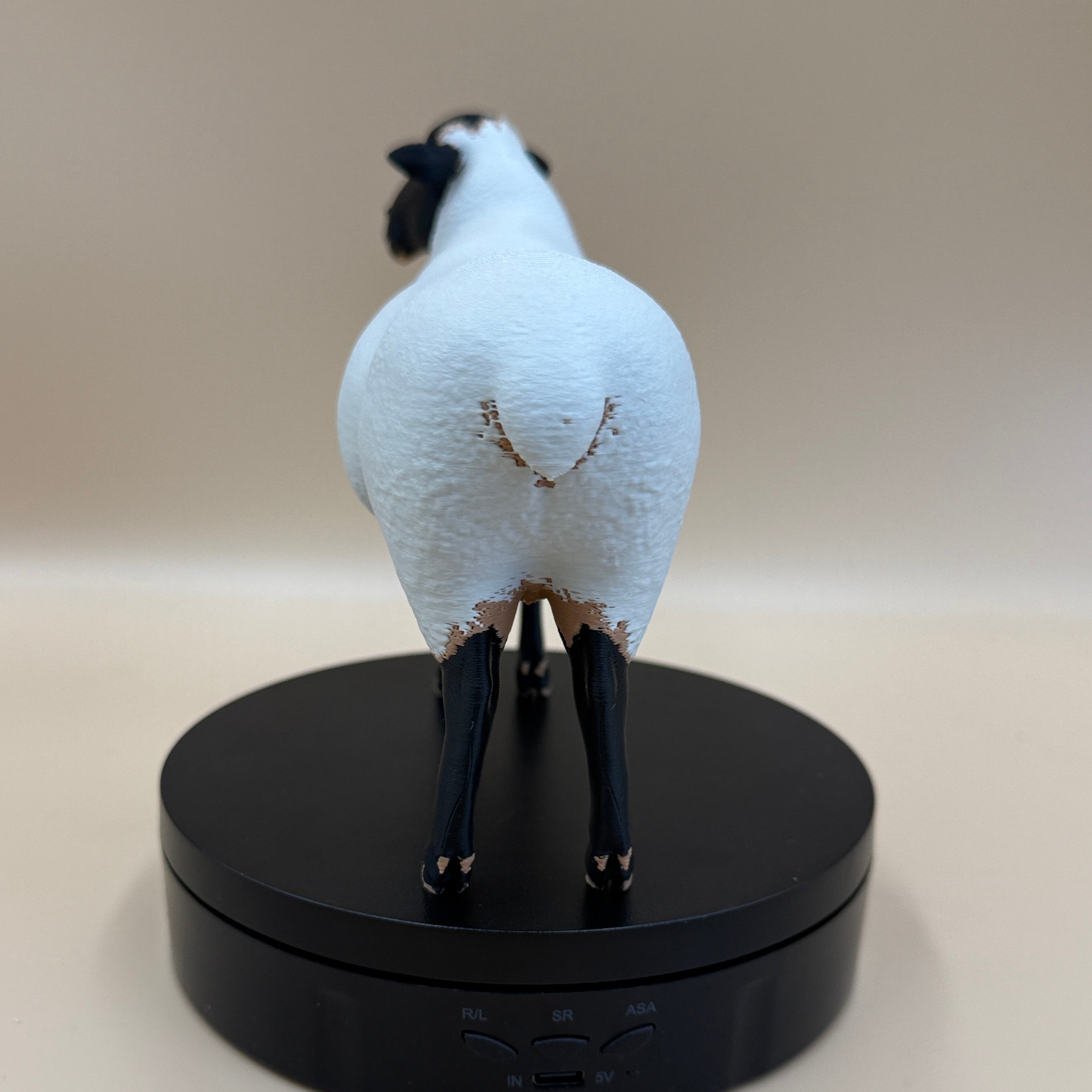 Suffolk Ram - Realistic Black Face Sheep (Not A Toy)