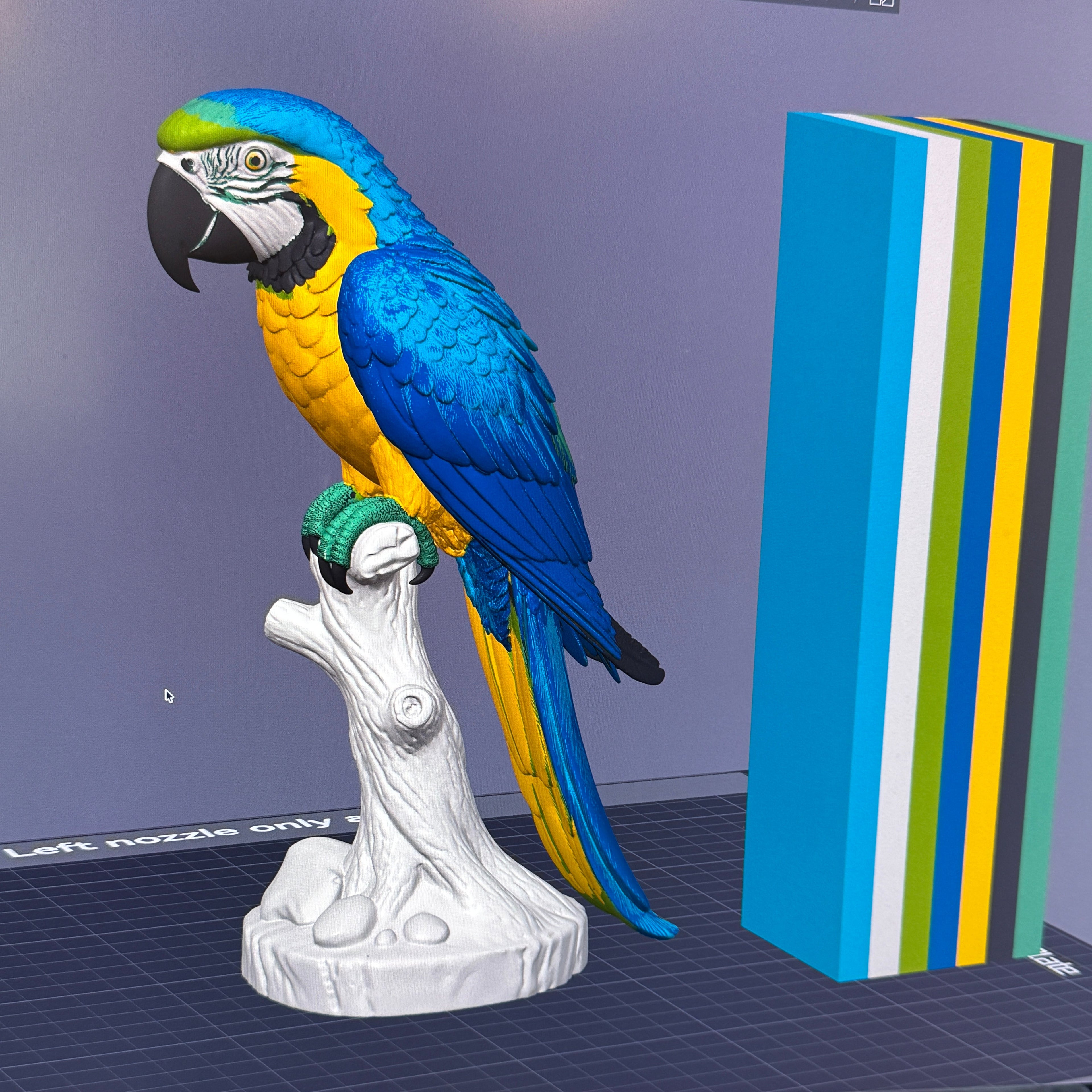 Blue and Gold Macaw - Commercial License