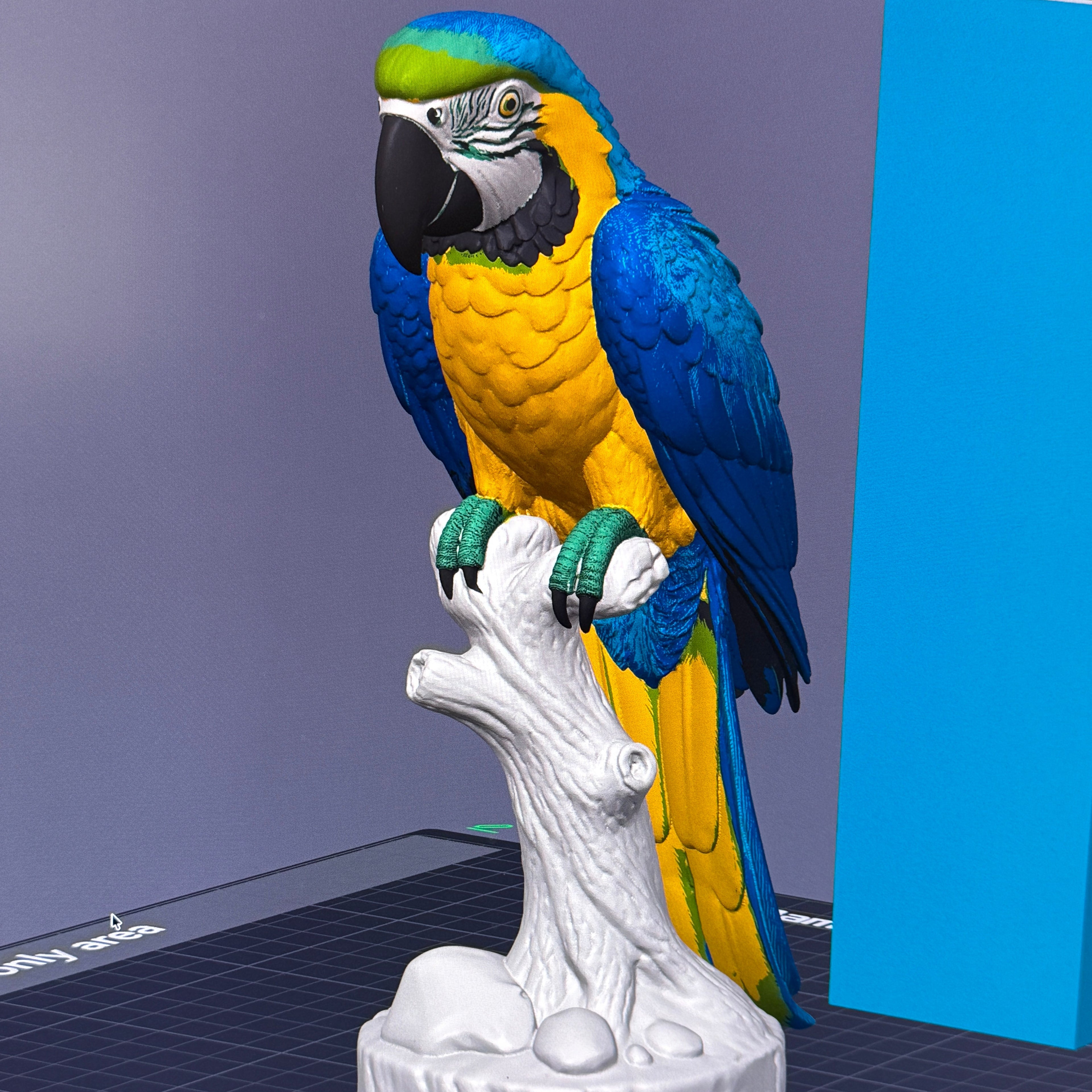 Blue and Gold Macaw - Commercial License