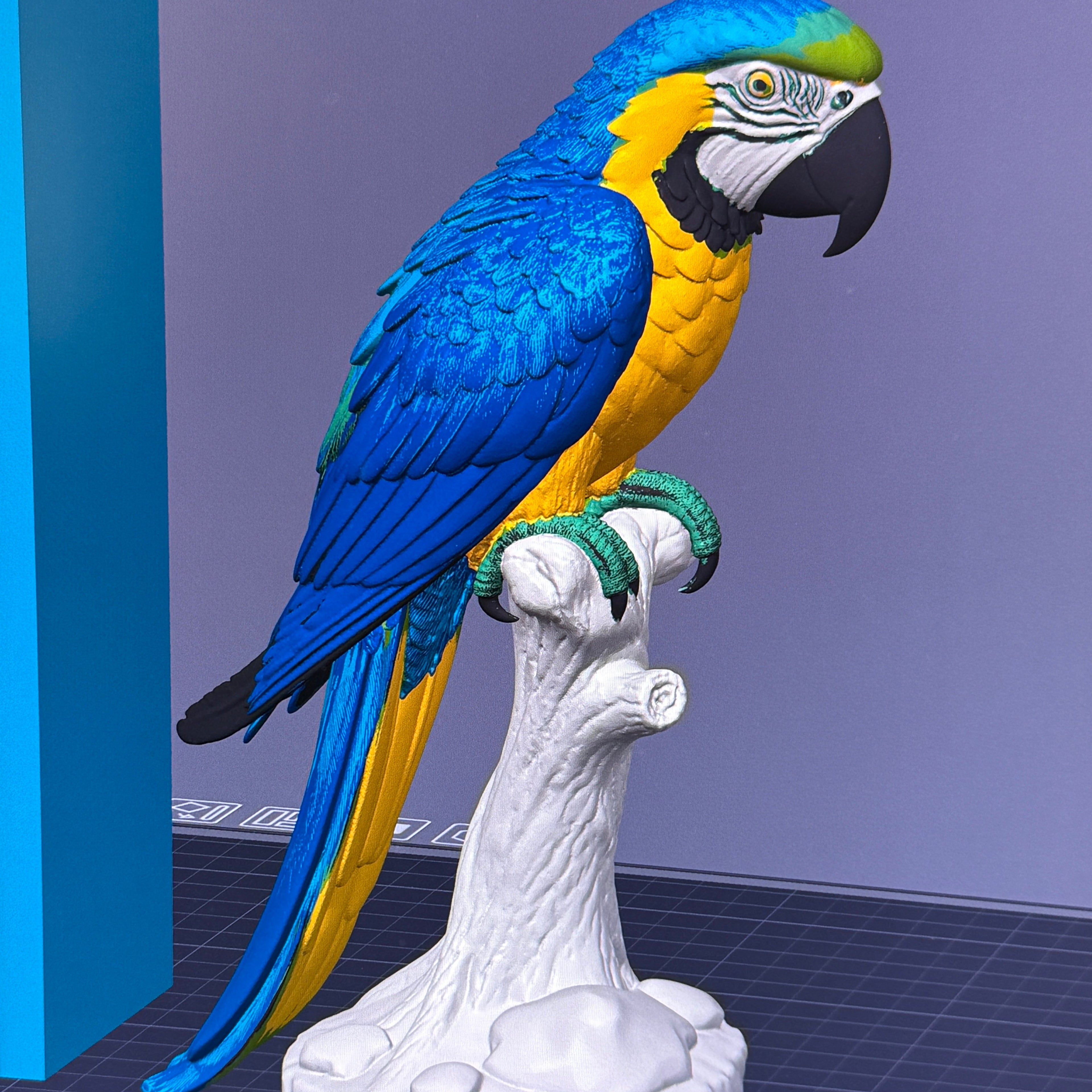 Blue and Gold Macaw - Commercial License