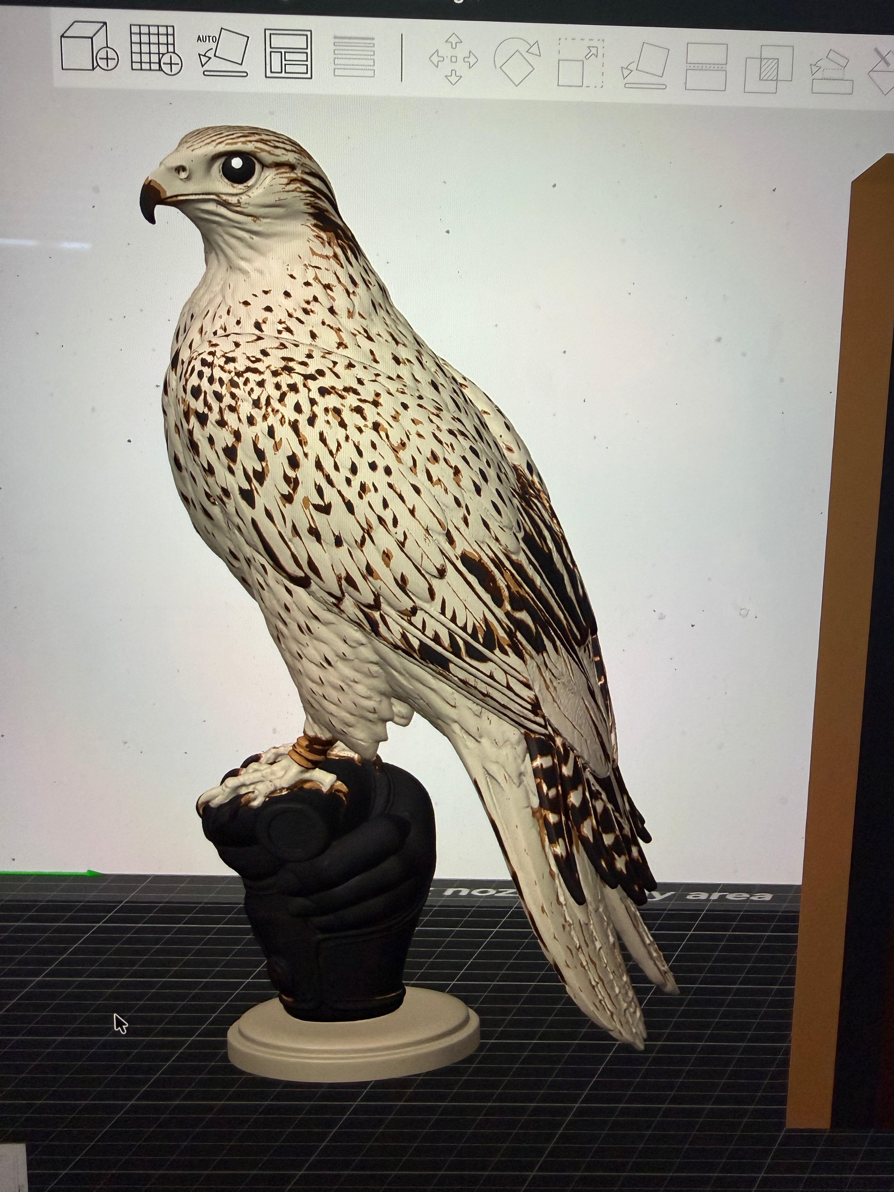 Falcon on Glove- Commercial License
