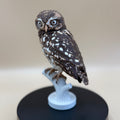 Little Watcher Owl - PLA version - Indoor Only