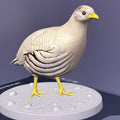 Hey's Sand-Partridge (Ammoperdix) 3MF + Commercial License