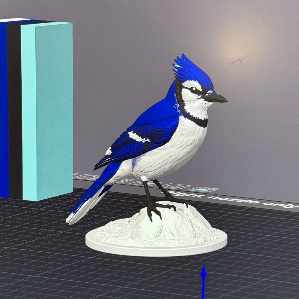 Blue Jay 3MF + Commercial License