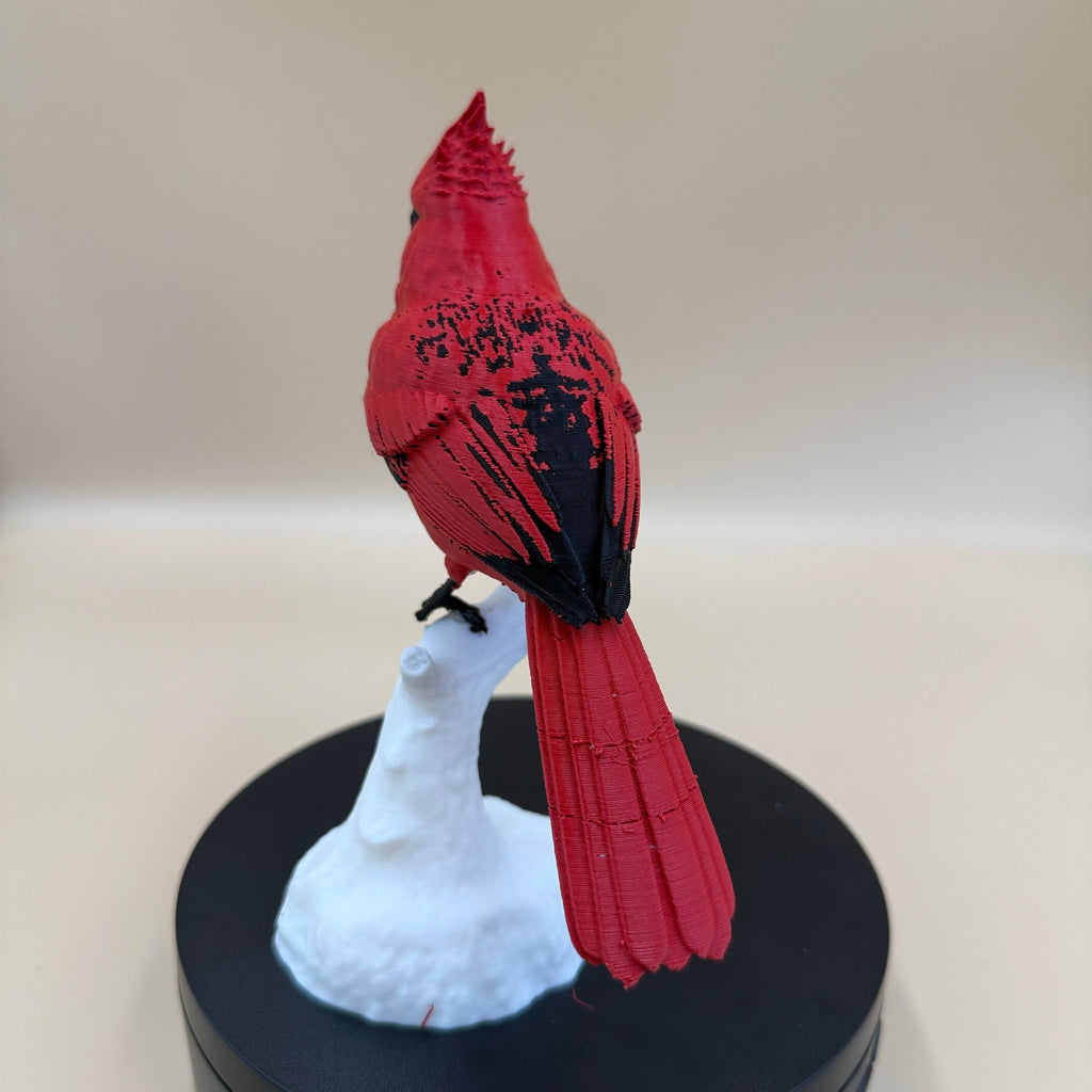 Crimson Crest Cardinal - Commercial License