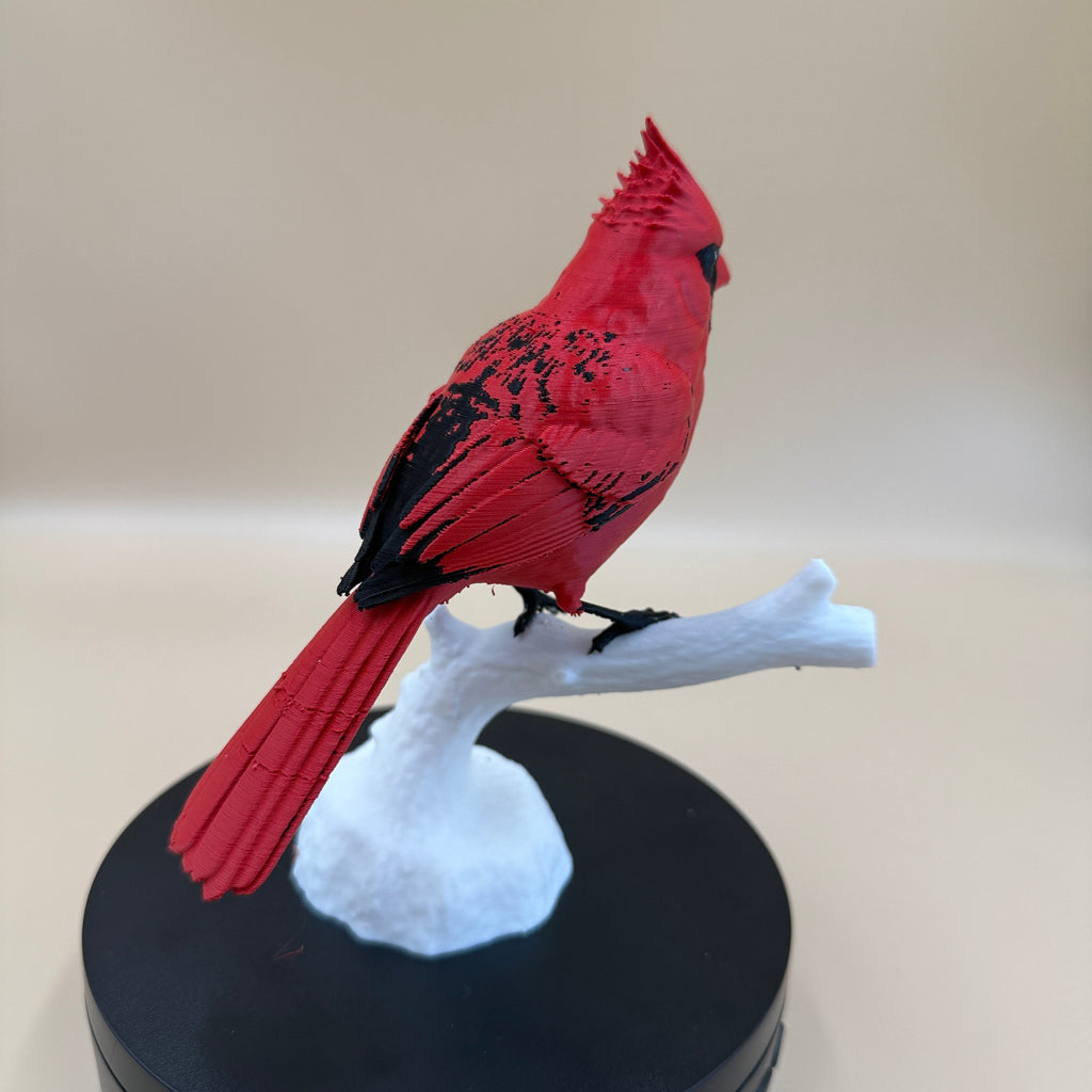 Crimson Crest Cardinal - Commercial License