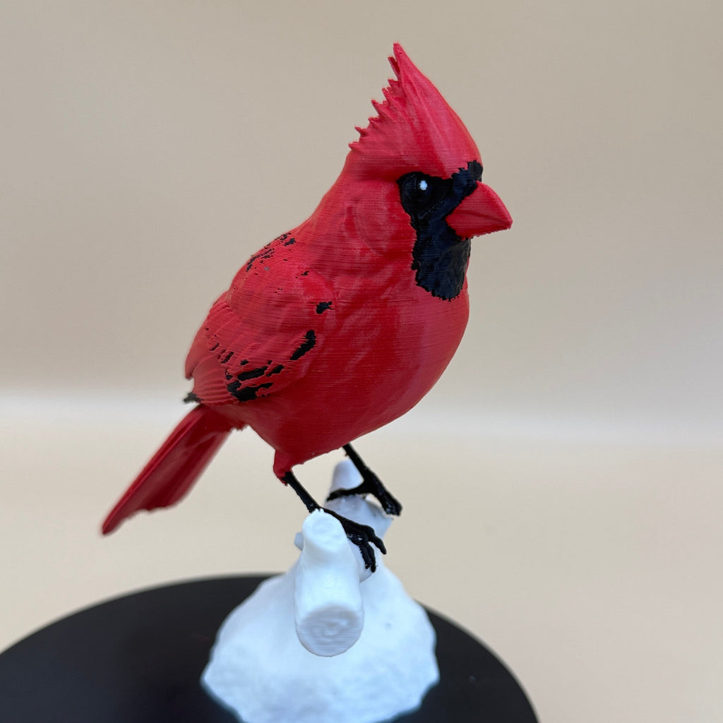 Crimson Crest Cardinal - Commercial License