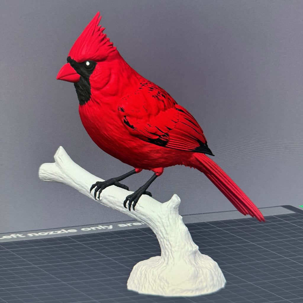 Crimson Crest Cardinal - Commercial License