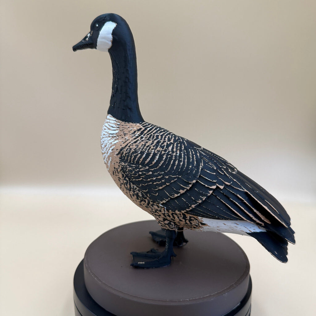 Marsh-Warden Canada Goose - PLA version - Indoor Only