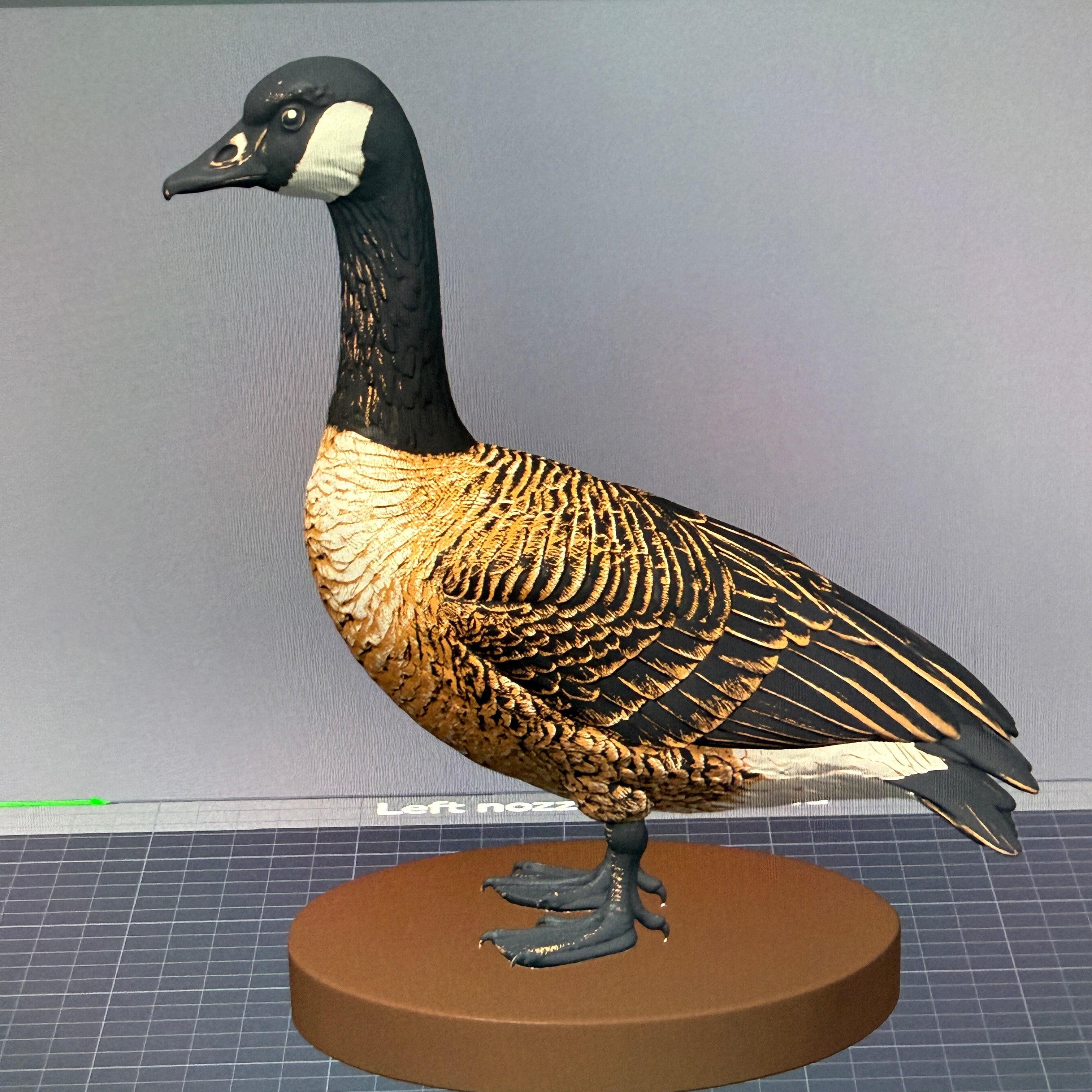 Marsh-Warden Canada Goose - Commercial License