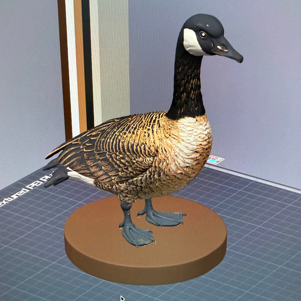 Marsh-Warden Canada Goose - Commercial License