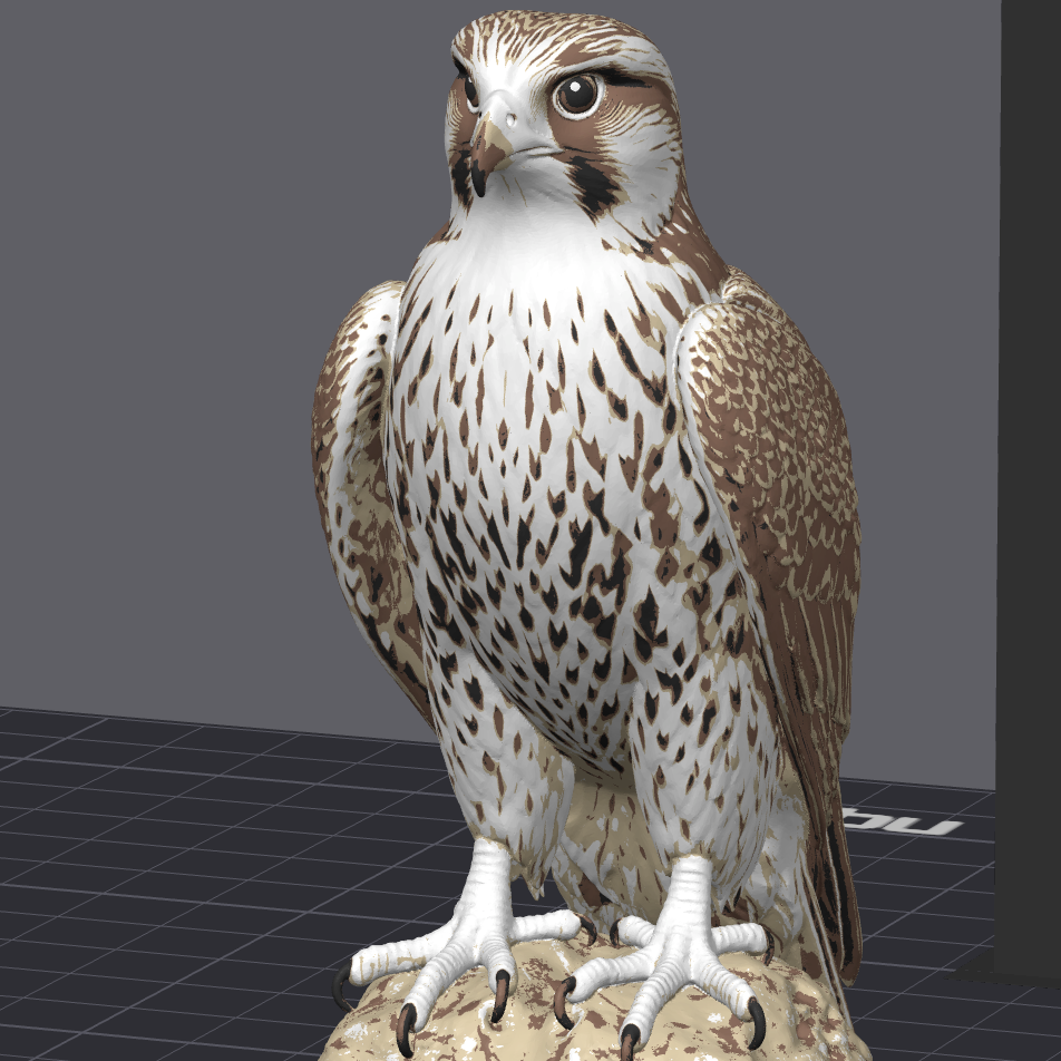 Qatar Falcon- Commercial License